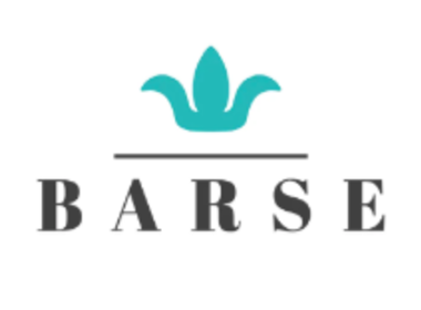 Barse Jewelry coupon code